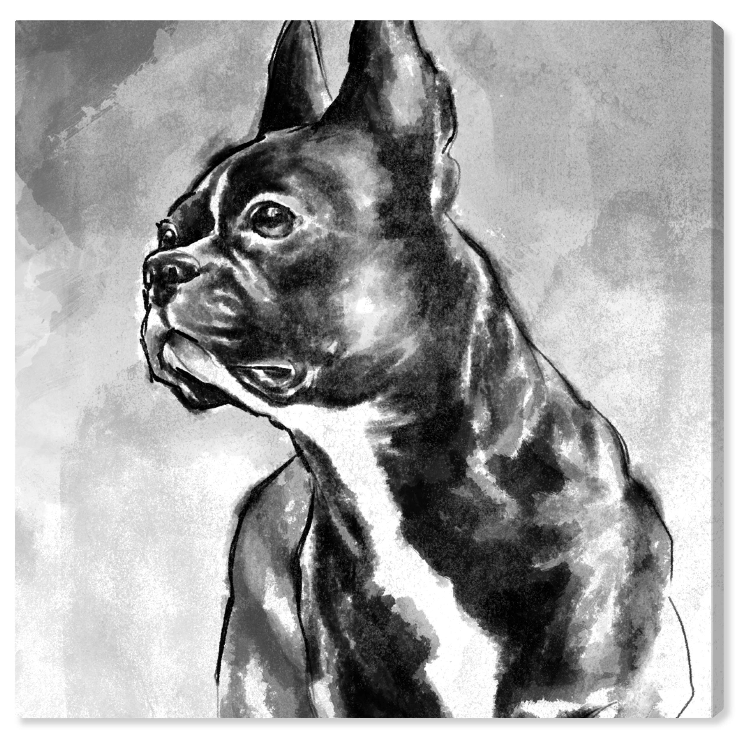 オリバーガル OliverGal pets 30 × 30 Amazon.com: The Oliver Gal Artist Co. Animals Wall Art